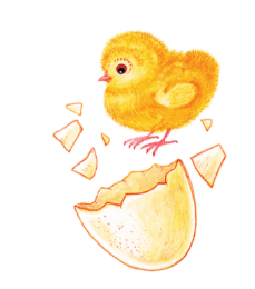 Задание рисунок 1